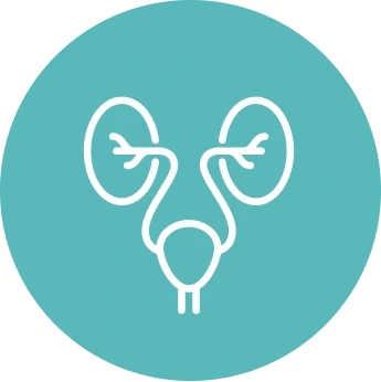 Peyronie’s Disease