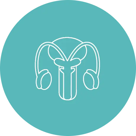 Benign Prostatic Hyperplasia (BPH)