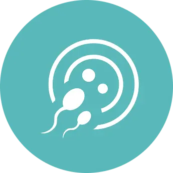 Male Infertility